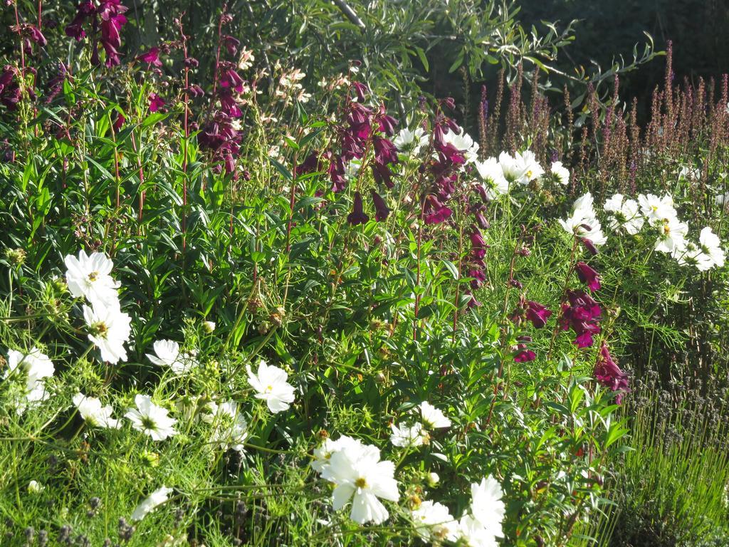 Rock Farm Bed and Breakfast Tarporley Esterno foto