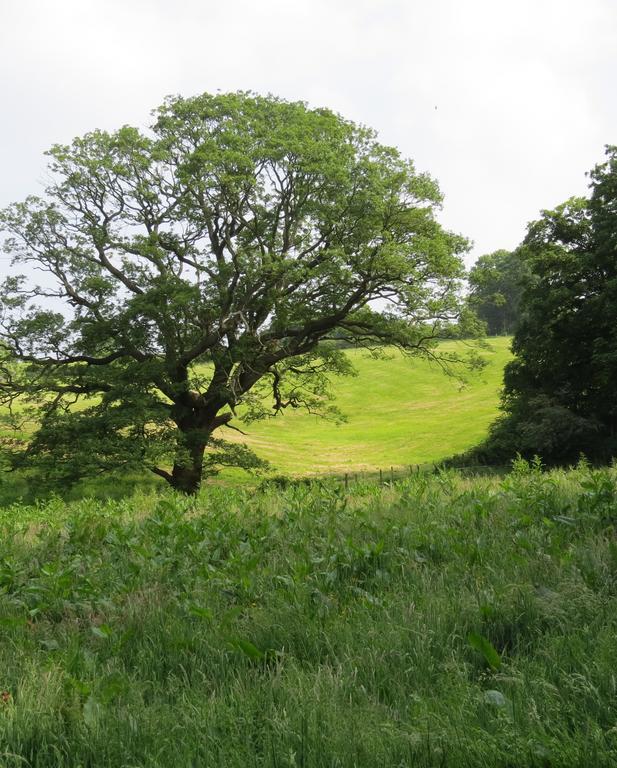 Rock Farm Bed and Breakfast Tarporley Esterno foto