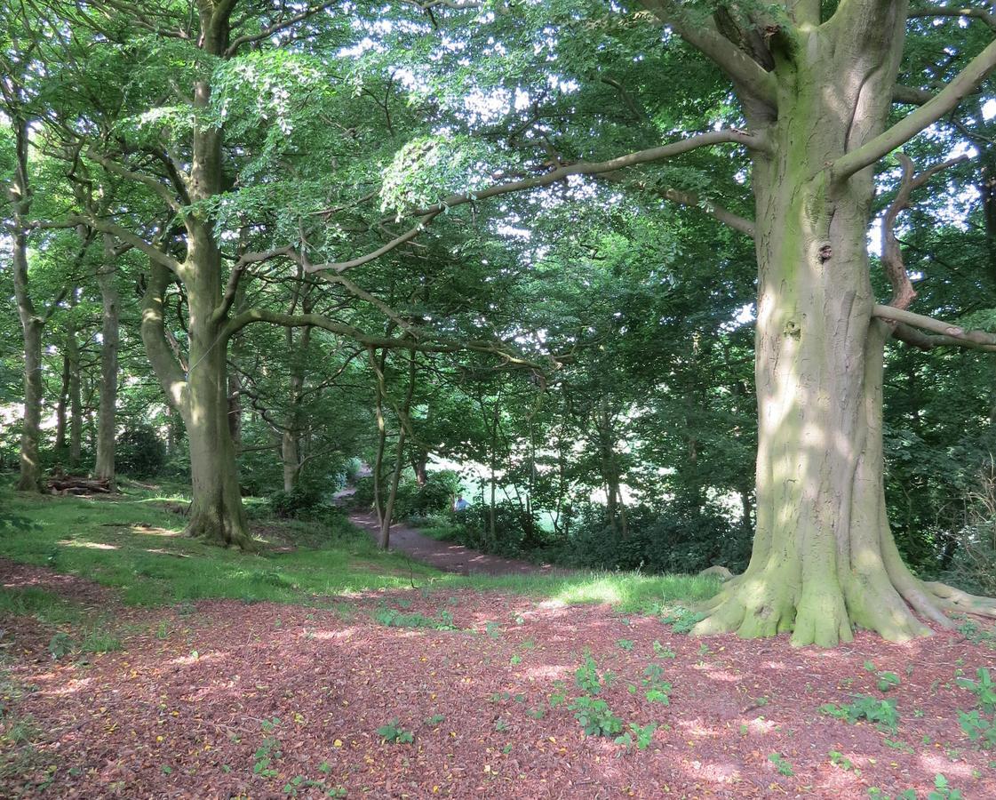 Rock Farm Bed and Breakfast Tarporley Esterno foto