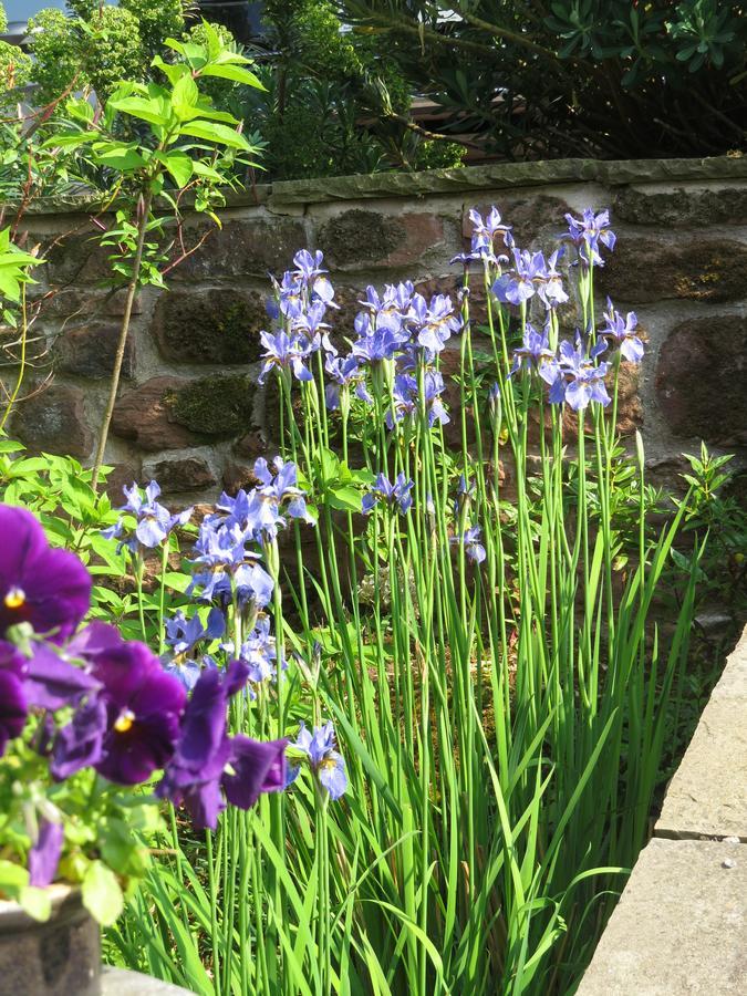 Rock Farm Bed and Breakfast Tarporley Esterno foto